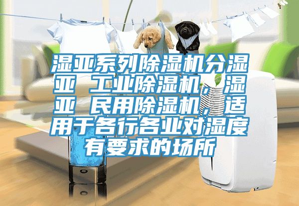 濕亞系列除濕機(jī)分濕亞 工業(yè)除濕機(jī)，濕亞 民用除濕機(jī)，適用于各行各業(yè)對濕度有要求的場所