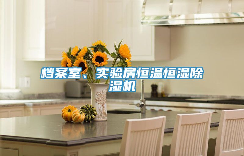 檔案室、實驗房恒溫恒濕除濕機