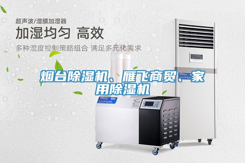 煙臺(tái)除濕機(jī)、雁飛商貿(mào)、家用除濕機(jī)