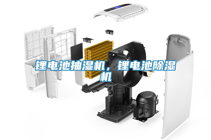 鋰電池抽濕機(jī)，鋰電池除濕機(jī)