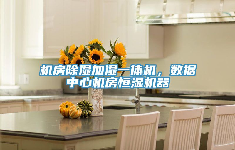 機(jī)房除濕加濕一體機(jī)，數(shù)據(jù)中心機(jī)房恒濕機(jī)器