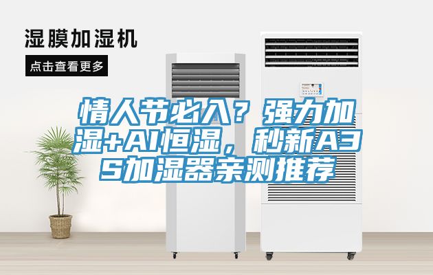 情人節(jié)必入？強力加濕+AI恒濕，秒新A3S加濕器親測推薦