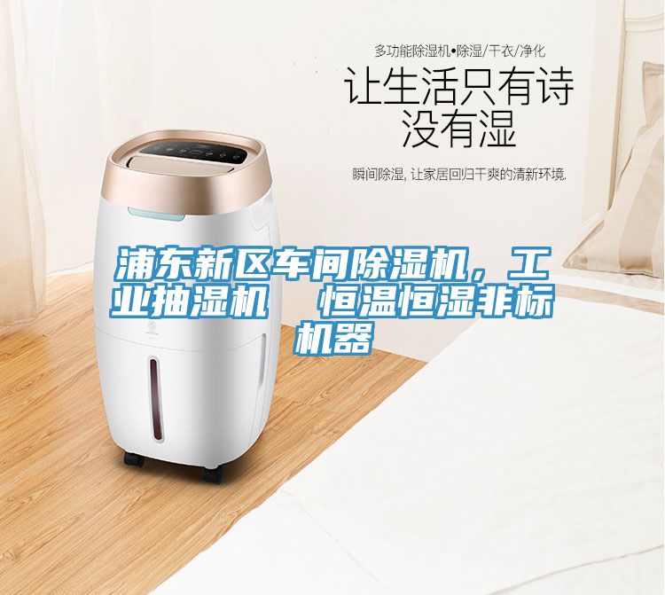 浦東新區(qū)車間除濕機，工業(yè)抽濕機  恒溫恒濕非標機器