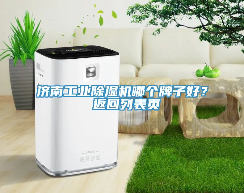 濟(jì)南工業(yè)除濕機(jī)哪個(gè)牌子好？ 返回列表頁(yè)