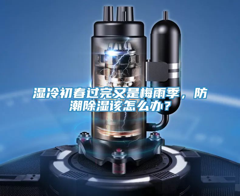 濕冷初春過完又是梅雨季，防潮除濕該怎么辦？