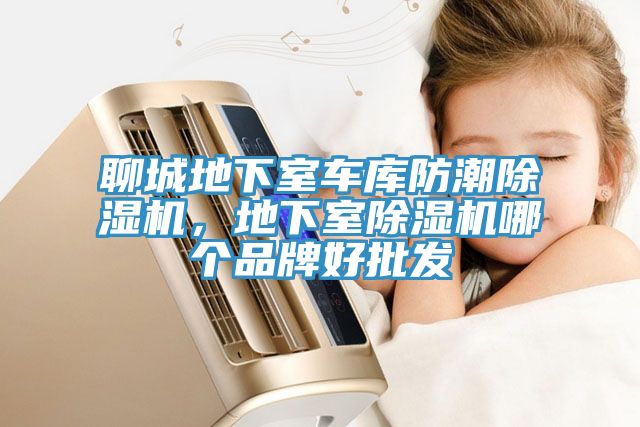 聊城地下室車(chē)庫(kù)防潮除濕機(jī)，地下室除濕機(jī)哪個(gè)品牌好批發(fā)