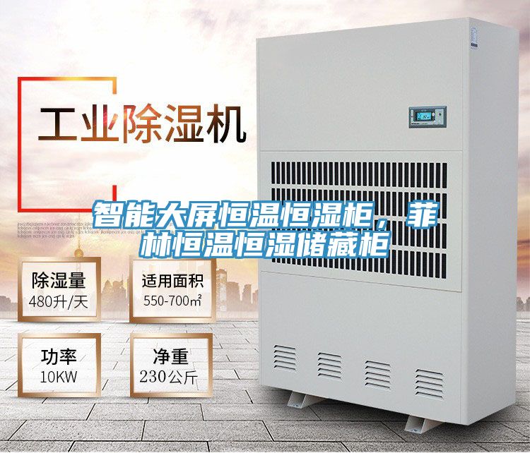 智能大屏恒溫恒濕柜，菲林恒溫恒濕儲藏柜