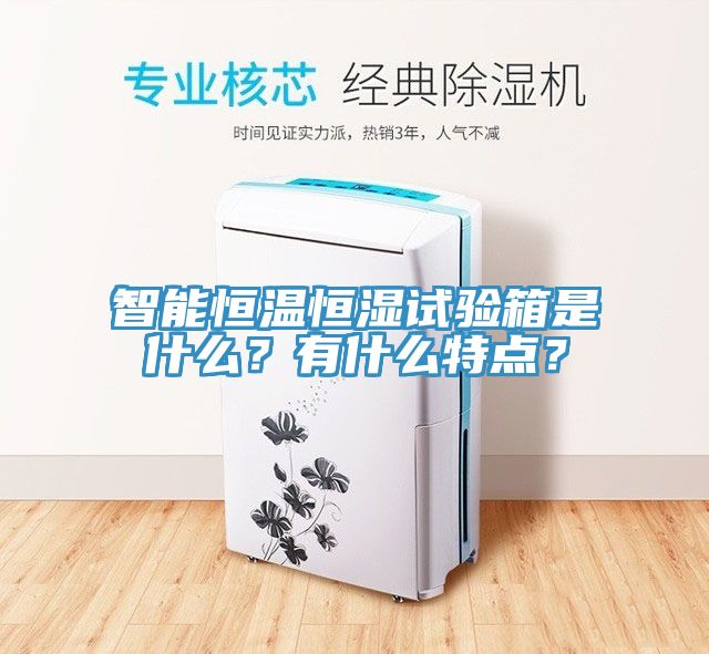 智能恒溫恒濕試驗(yàn)箱是什么？有什么特點(diǎn)？