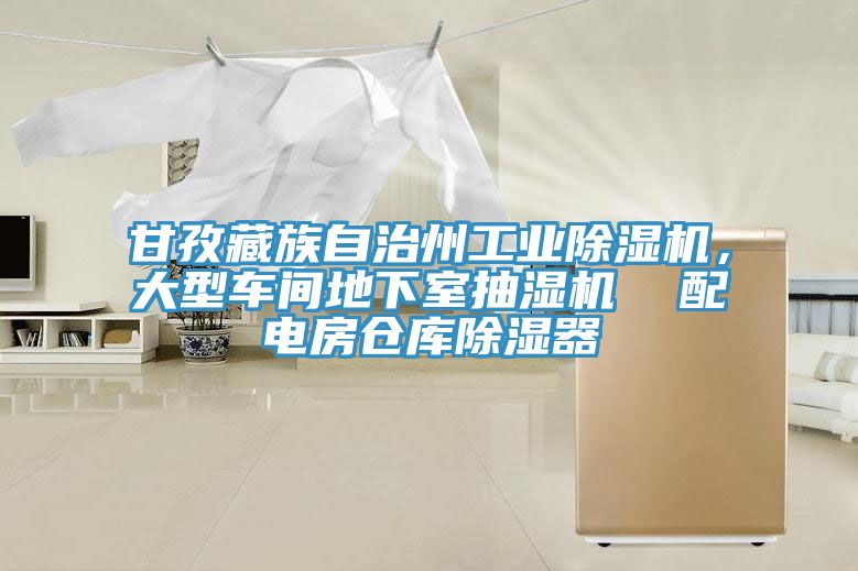 甘孜藏族自治州工業(yè)除濕機，大型車間地下室抽濕機  配電房倉庫除濕器