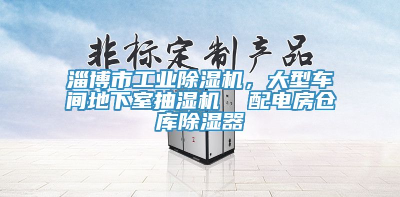 淄博市工業(yè)除濕機(jī)，大型車間地下室抽濕機(jī)  配電房倉庫除濕器