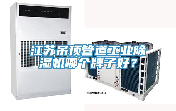 江蘇吊頂管道工業(yè)除濕機(jī)哪個(gè)牌子好？
