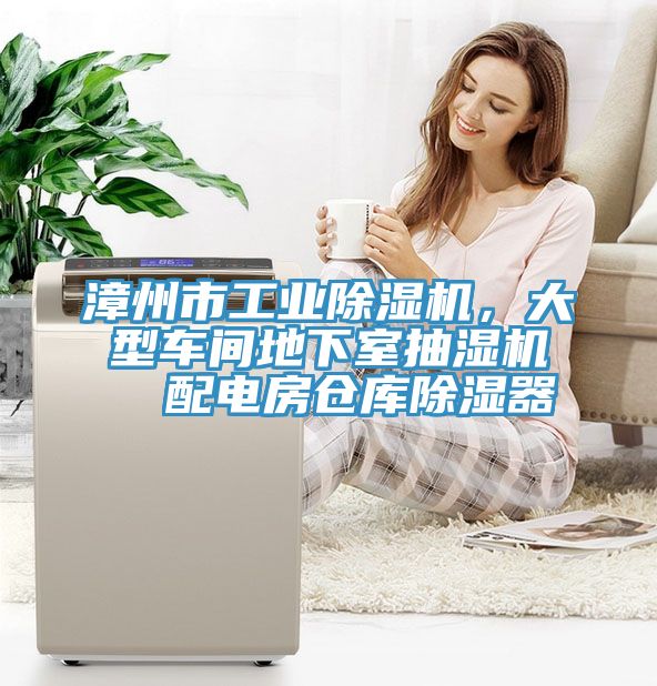 漳州市工業(yè)除濕機(jī)，大型車(chē)間地下室抽濕機(jī)  配電房倉(cāng)庫(kù)除濕器