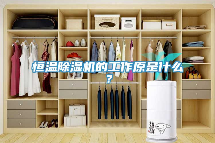 恒溫除濕機的工作原是什么？