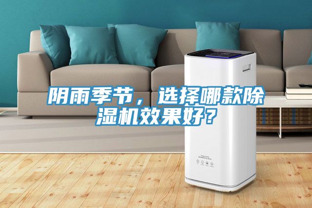 陰雨季節(jié)，選擇哪款除濕機(jī)效果好？
