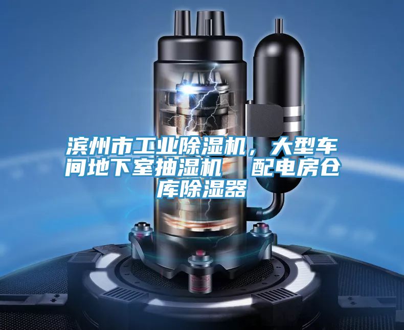 濱州市工業(yè)除濕機(jī)，大型車間地下室抽濕機(jī)  配電房倉庫除濕器