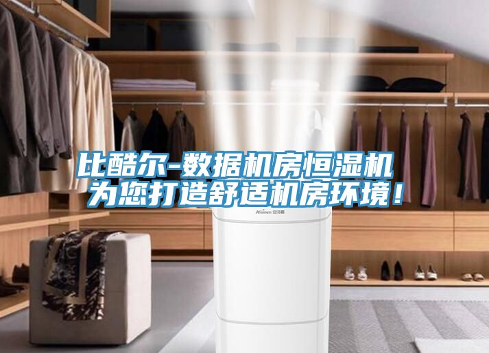 比酷爾-數(shù)據(jù)機房恒濕機 為您打造舒適機房環(huán)境！
