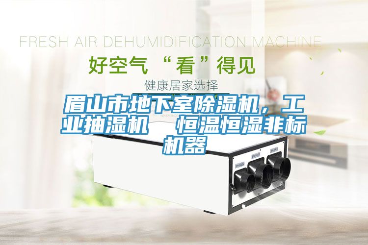 眉山市地下室除濕機(jī)，工業(yè)抽濕機(jī)  恒溫恒濕非標(biāo)機(jī)器