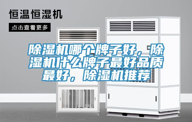 除濕機哪個牌子好，除濕機什么牌子最好品質最好，除濕機推薦