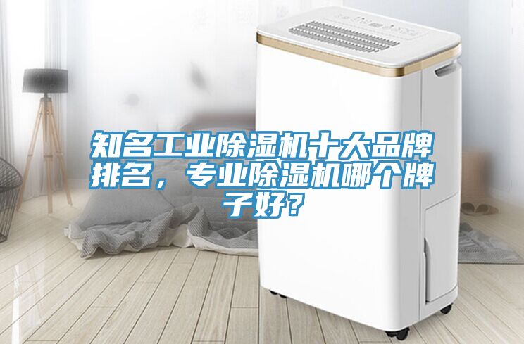 知名工業(yè)除濕機(jī)十大品牌排名，專業(yè)除濕機(jī)哪個(gè)牌子好？