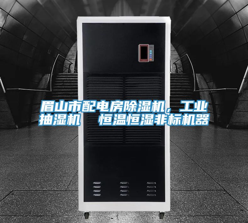 眉山市配電房除濕機(jī)，工業(yè)抽濕機(jī)  恒溫恒濕非標(biāo)機(jī)器