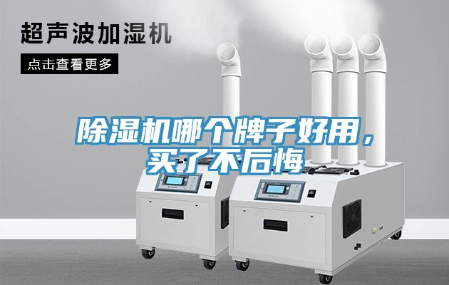 除濕機哪個牌子好用，買了不后悔
