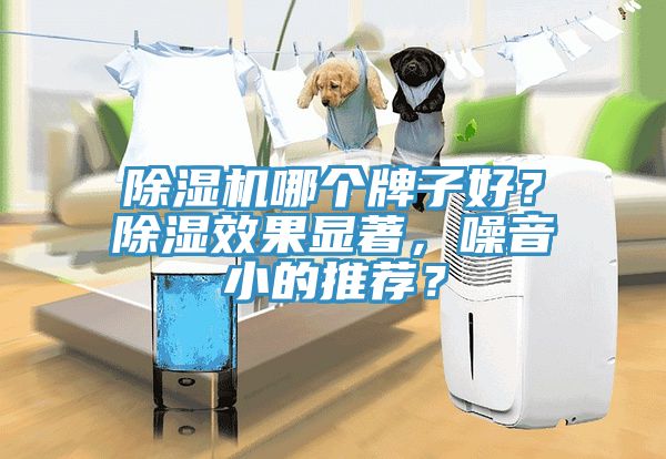 除濕機哪個牌子好？除濕效果顯著，噪音小的推薦？