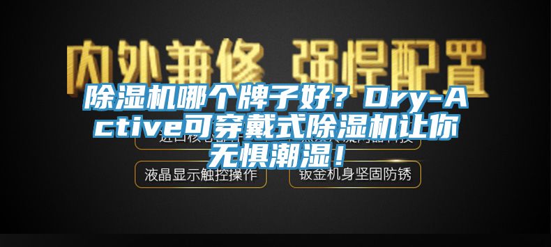 除濕機哪個牌子好？Dry-Active可穿戴式除濕機讓你無懼潮濕！