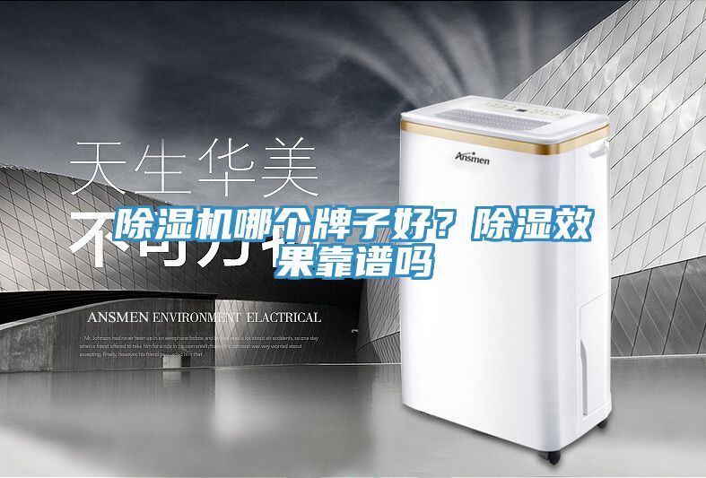 除濕機哪個牌子好？除濕效果靠譜嗎