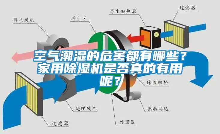 空氣潮濕的危害都有哪些？家用除濕機(jī)是否真的有用呢？