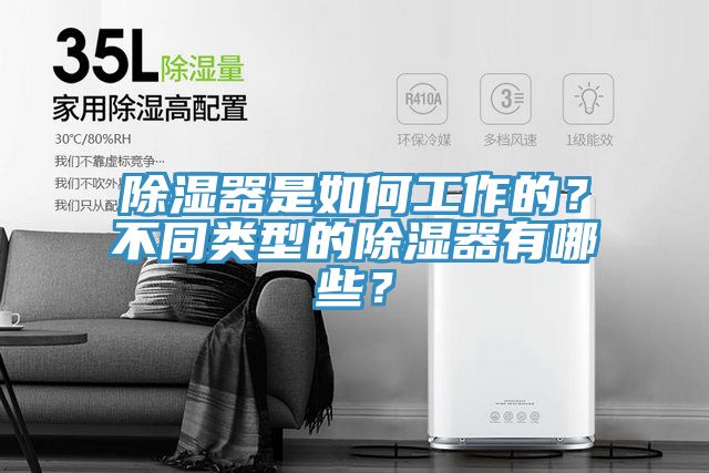 除濕器是如何工作的？不同類型的除濕器有哪些？