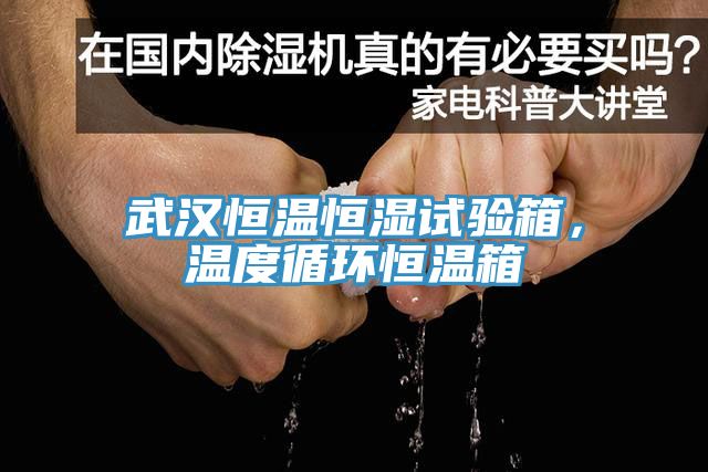 武漢恒溫恒濕試驗(yàn)箱，溫度循環(huán)恒溫箱