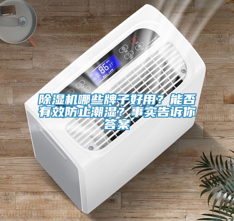 除濕機(jī)哪些牌子好用？能否有效防止潮濕？事實(shí)告訴你答案