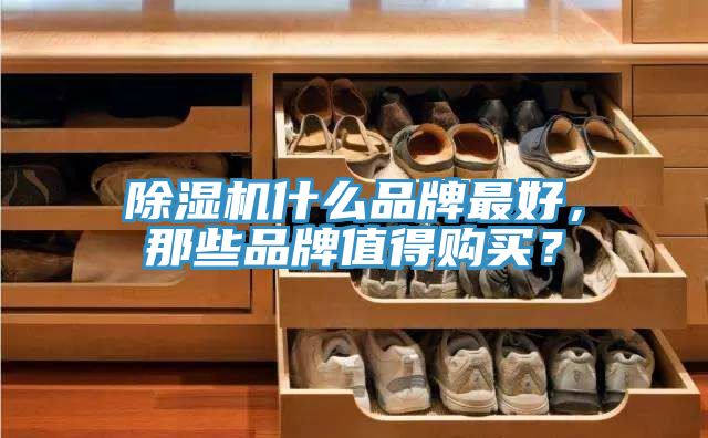 除濕機(jī)什么品牌最好，那些品牌值得購買？