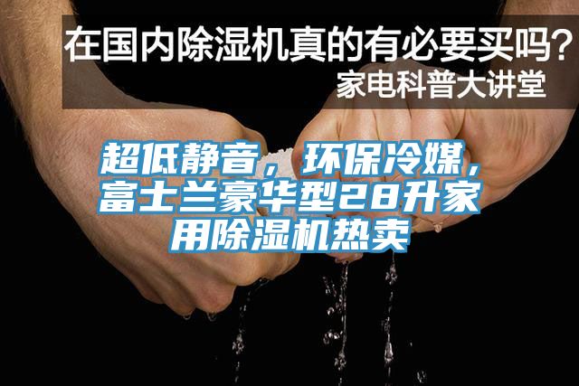 超低靜音，環(huán)保冷媒，富士蘭豪華型28升家用除濕機熱賣