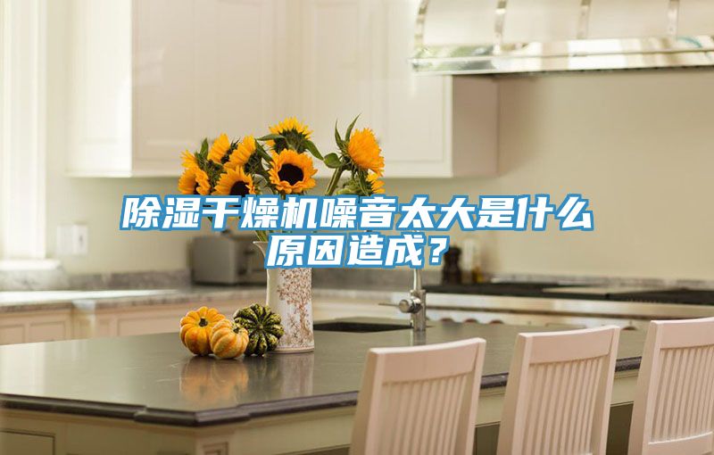 除濕干燥機(jī)噪音太大是什么原因造成？