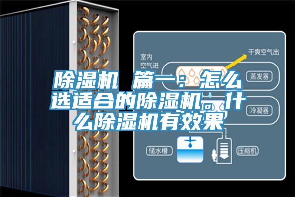 除濕機(jī) 篇一：怎么選適合的除濕機(jī)。什么除濕機(jī)有效果