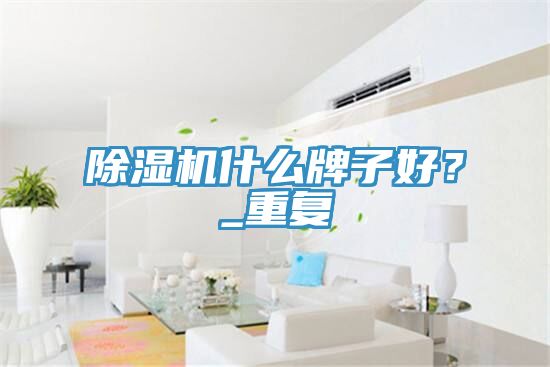 除濕機什么牌子好？_重復(fù)