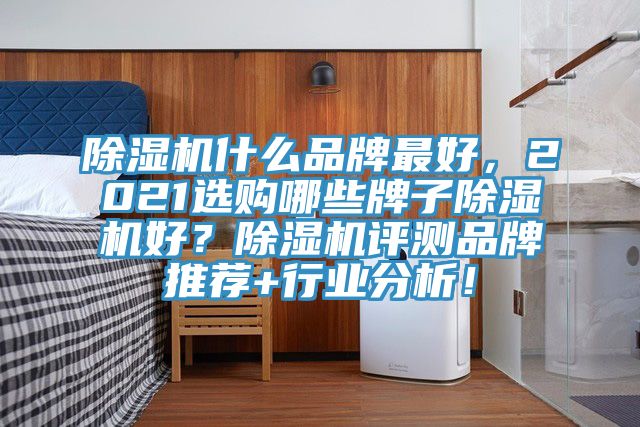 除濕機(jī)什么品牌最好，2021選購哪些牌子除濕機(jī)好？除濕機(jī)評(píng)測品牌推薦+行業(yè)分析！