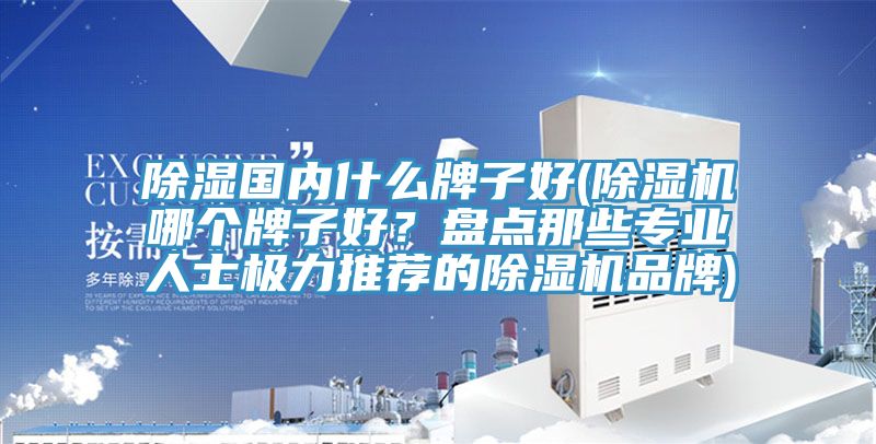 除濕國內(nèi)什么牌子好(除濕機哪個牌子好？盤點那些專業(yè)人士極力推薦的除濕機品牌)
