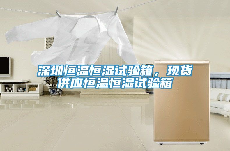 深圳恒溫恒濕試驗箱，現(xiàn)貨供應恒溫恒濕試驗箱