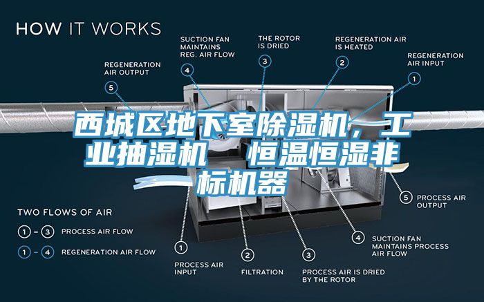 西城區(qū)地下室除濕機，工業(yè)抽濕機  恒溫恒濕非標機器
