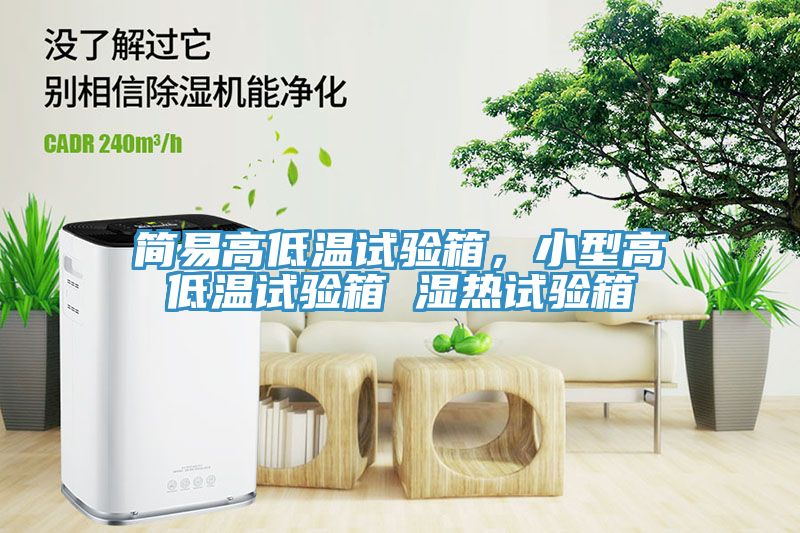 簡(jiǎn)易高低溫試驗(yàn)箱，小型高低溫試驗(yàn)箱 濕熱試驗(yàn)箱