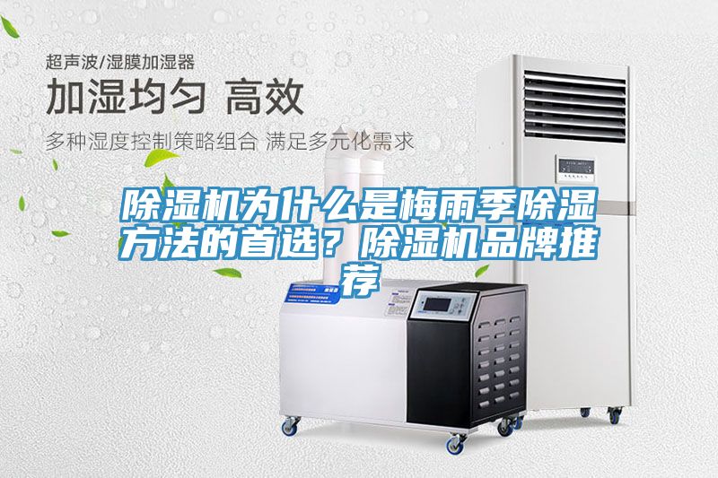 除濕機(jī)為什么是梅雨季除濕方法的首選？除濕機(jī)品牌推薦