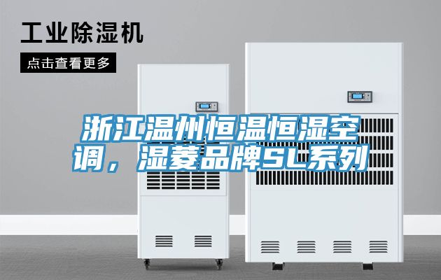 浙江溫州恒溫恒濕空調(diào)，濕菱品牌SL系列