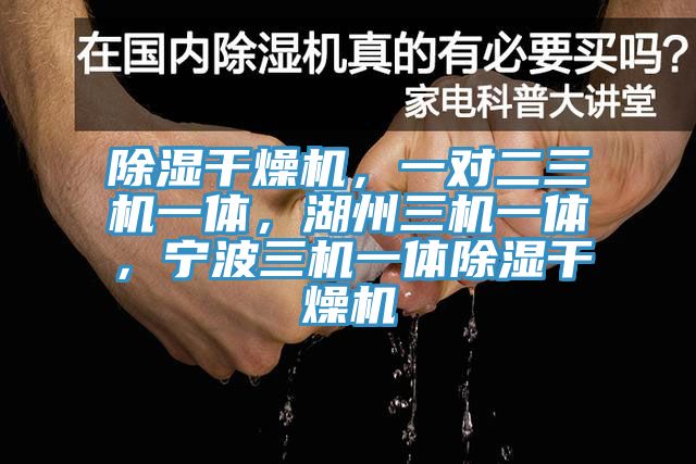除濕干燥機(jī)，一對(duì)二三機(jī)一體，湖州三機(jī)一體，寧波三機(jī)一體除濕干燥機(jī)