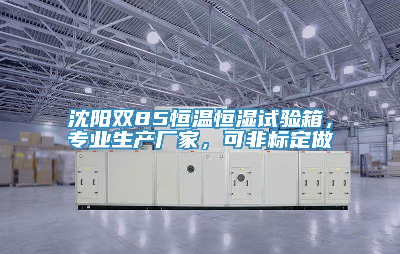 沈陽雙85恒溫恒濕試驗箱，專業(yè)生產(chǎn)廠家，可非標(biāo)定做