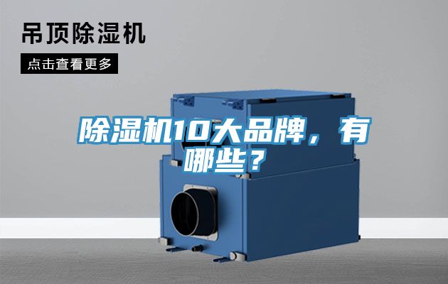 除濕機(jī)10大品牌，有哪些？