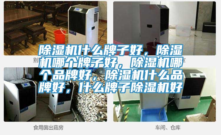 除濕機(jī)什么牌子好，除濕機(jī)哪個(gè)牌子好，除濕機(jī)哪個(gè)品牌好，除濕機(jī)什么品牌好，什么牌子除濕機(jī)好