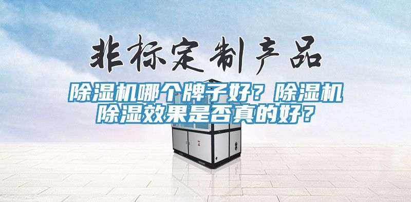 除濕機哪個牌子好？除濕機除濕效果是否真的好？