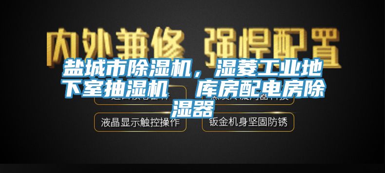 鹽城市除濕機(jī)，濕菱工業(yè)地下室抽濕機(jī)  庫房配電房除濕器
